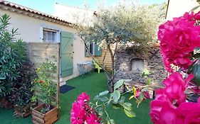 Gite De L'Olivier, Classe, Climatise, Jardin Avec Parking Gratuit Devant Le Logement Et A 5 Minutes Du Centre-Ville A Pied