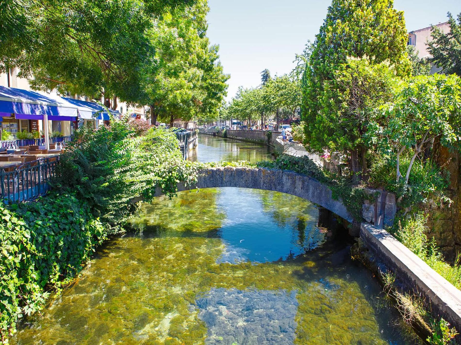 Gite De L'Olivier, Classe, Climatise, Jardin Avec Parking Gratuit Devant Le Logement Et A 5 Minutes Du Centre-Ville A Pied LʼIsle-sur-la-Sorgue Extérieur photo